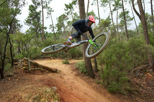 Silvini men's shorts MP1805 Fabriano